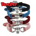 Skull Charm Dog Collars 1