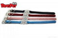 Skull Charm Dog Collars 5