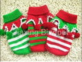 Christmas Strip Dog Sweater 1