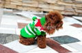 Christmas Strip Dog Sweater 3