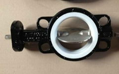 wafer butterfly valve