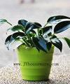 Melamine flower pot