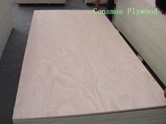 Commercial Plywood