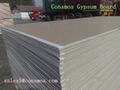 Gypsum Board 4