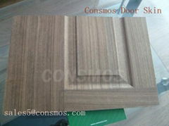 HDF Veneer or Melamine Door Skin 