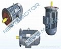 1 KW motor with generator application  1