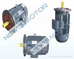 1 KW motor with generator application 