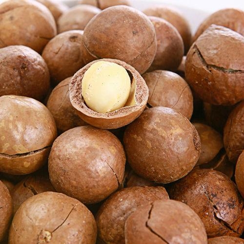 Hazelnut 100 LX (China Manufacturer) Nuts Products Processed