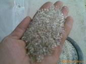 Virgin/Recycled EPS((Expandable Polystyrene))/EPS granules/EPS resin