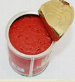 canned tomato paste 2