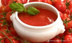 tomato ketchup