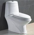 The sink bowl lavatory closestool the post  2