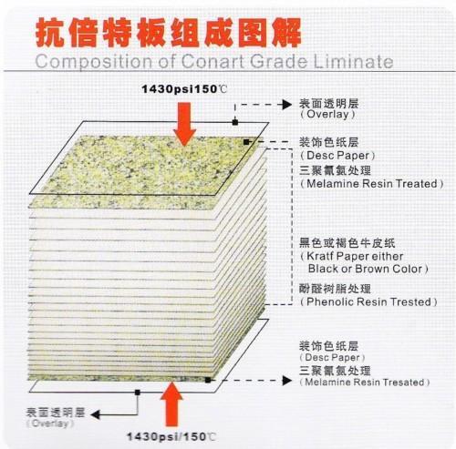 toilet partition 2