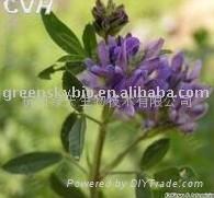 Alfalfa extract