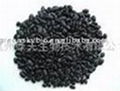 Black bean extract