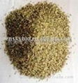 fennel seed extract