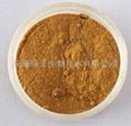 Siberian Ginseng Extract 