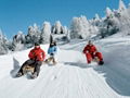 Davos Wooden Snow Sleds 2