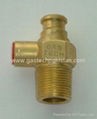 LPG Self Closing Valve With Safety  1