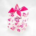 PVC Gift Packaging Box 3