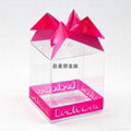 PVC Gift Packaging Box 1