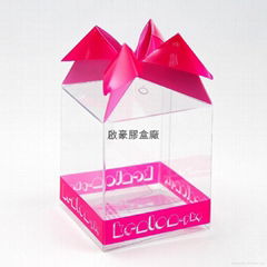 PVC Gift Packaging Box