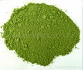 Spinach powder