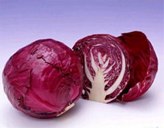 cabbage red