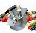 Vegetable cutter 1