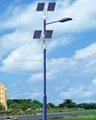 Solar street light 1