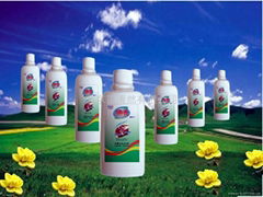 Supply Biqing haircut pest mite head shampoo and recruit agents all over