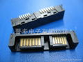 SATA 13P M Connector 2