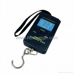 Electronic Portable Scale 