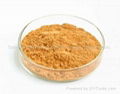 walnut shell powder 2