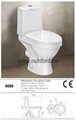 R080  two piece toilet