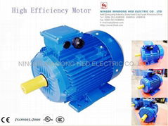 MS series 3 phase high efficiency motors