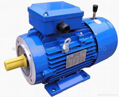 Brake motor