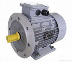 MS B35 motor 