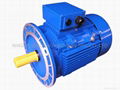 Three phase motor