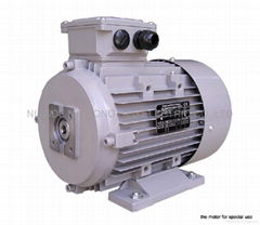 Electric motor 