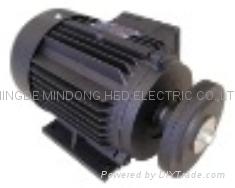 Three-phase steel motor