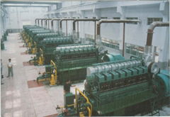 Diesel Engine&Generator