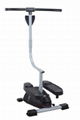 Cardio Twister Stepper 2