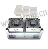 produce  Injection Mould