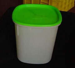  thin wall container mould