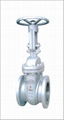 gate valve