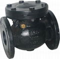 Cast Iron Swing Check Valves