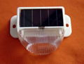 solar light 003 1