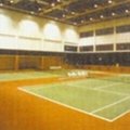 网球、羽毛球场地