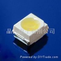 WARM WHITE LED,TOP LED, SMD LED,3528